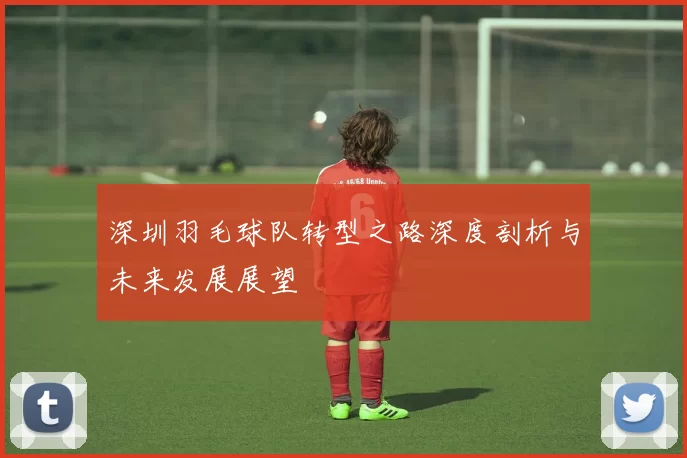 深圳羽毛球队转型之路深度剖析与未来发展展望